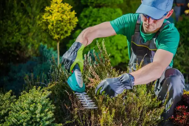 landscaping services Edon